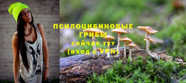 кокс Магас