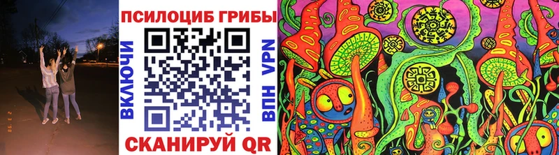 площадка какой сайт  Тейково  Галлюциногенные грибы Psilocybine cubensis  наркотики 
