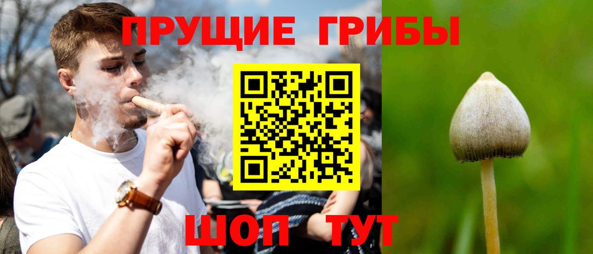 как найти закладки  Тейково  Псилоцибиновые грибы Psilocybe 